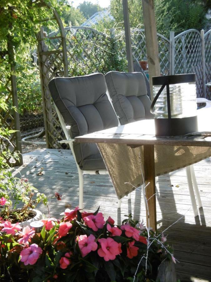 Châteauneuf-la-Forêt Le Chat Qui Peche B&B المظهر الخارجي الصورة
