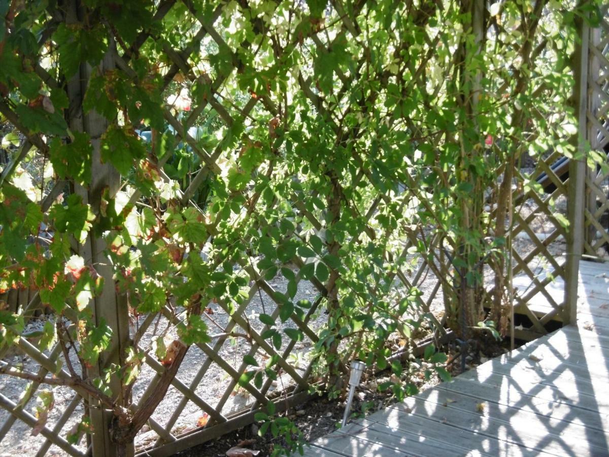Châteauneuf-la-Forêt Le Chat Qui Peche B&B المظهر الخارجي الصورة